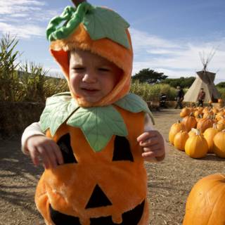 Our Little Pumpkin: Wesley's First Halloween