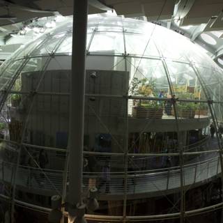 Inside the Glass Sphere