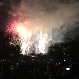 Celebratory Fireworks at Disneyland Park