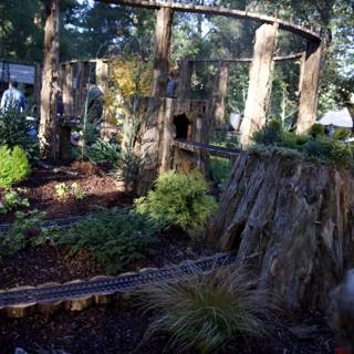 Enchanted Exploration at Thistlewyck