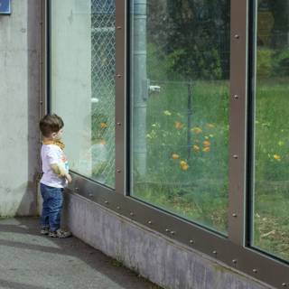 City Window Reflections: A Boy and His World