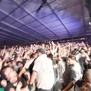 Coachella 2011: Electric Crowd