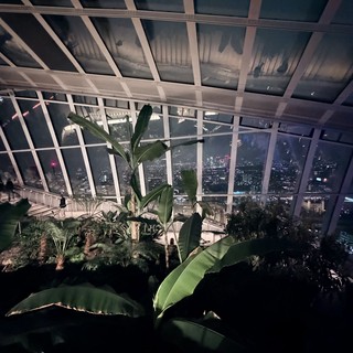 Sky Garden Observatory at Night with City Views