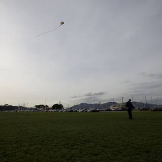 Kite Flying Fun in the Fields