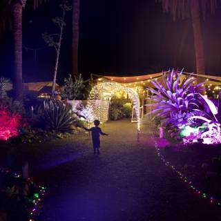 Enchanted Night at the Garden