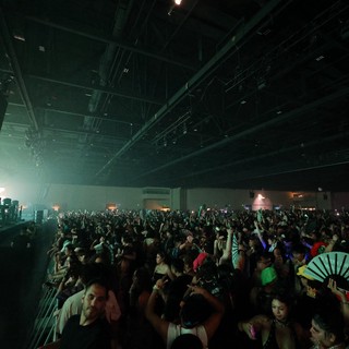Massive Crowd Surges at Wobbleland 2026 Festival