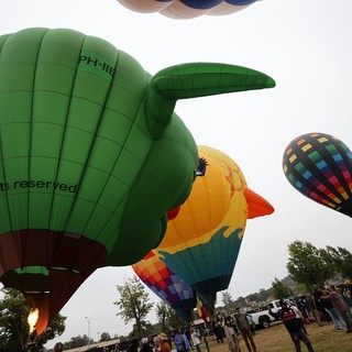 Giant Bird Balloons Take Flight at Sonoma Classic