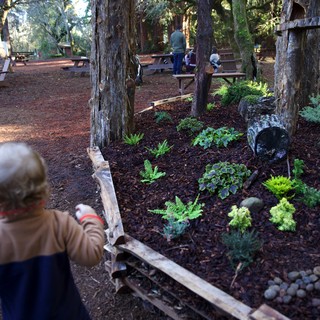 Pacific Northwest park or community garden