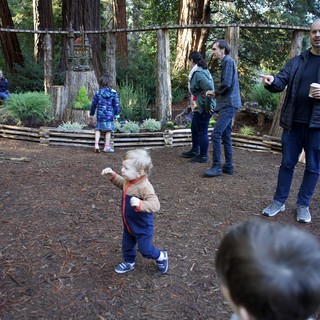 Redwood National and State Parks, California