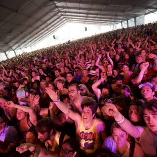 The Electric Crowd at Coachella Music Festival
