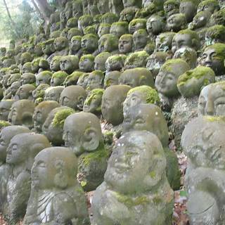Moss-Covered Statues at Kyoto City Hall