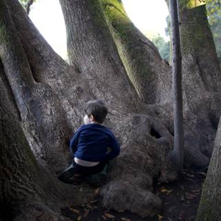 Enchanted Rest