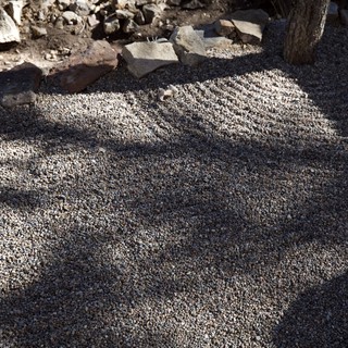 Sunlit Pebble Mosaic with Ancient Stone Ruins