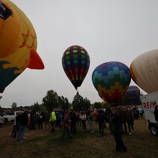 Colorful Hot Air Balloons Rise at Sonoma County Classic