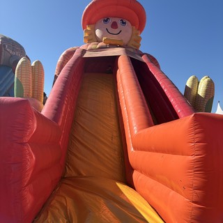 agricultural fair or harvest festival
