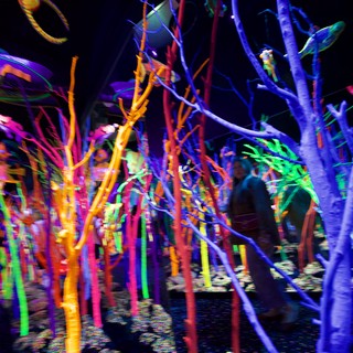 Neon Forest: Immersive Art Installation with Glowing Trees