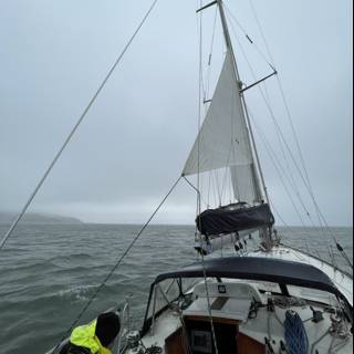 Sail Away on Richardson Bay