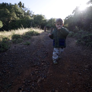 Young Explorer Walks the Trail at Mount Diablo
