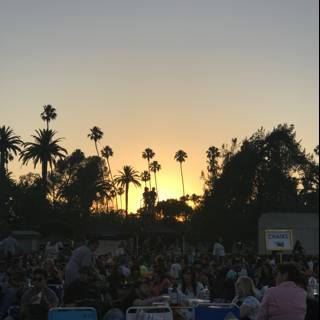 Summer Concert with Palm Trees