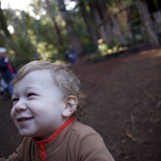 Woodland Wonder
