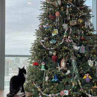 Furry Friend by the Christmas Tree
