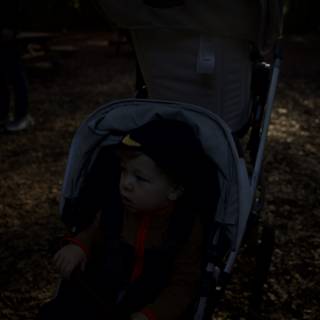A Day at Thistlewyck Gardens