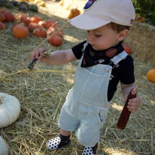 Harvest Days: Wesley's Pumpkin Patch Adventure