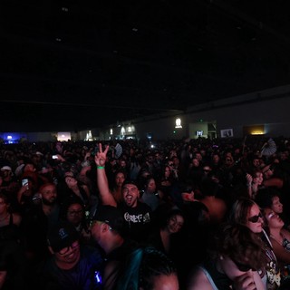 Euphoric Crowd Erupts at Wobbleland 2026 Festival