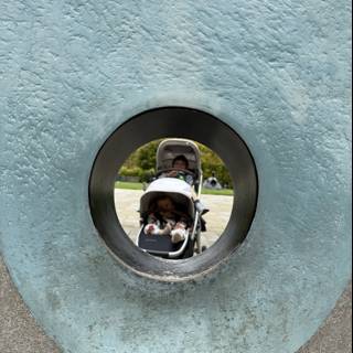 Framed Innocence