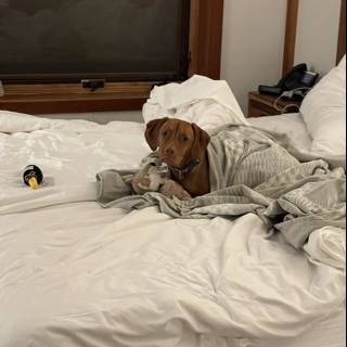 Cozy Canine on a Bed with Blanket