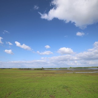 Expansive Wetlands Under Wide Blue Skies
