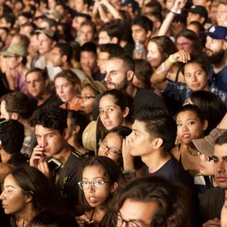 A Sea of Faces: The Concert Crowd