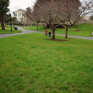 Children Playing in Park on Overcast Winter Day
