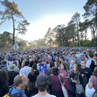 The Crowd Gathers in Golden Gate Park
