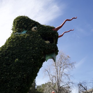 Ivy-Covered Dragon Topiary Looms Against Blue Sky
