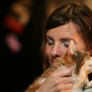 pet-love