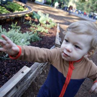 Adventurous Steps in Thistlewyck