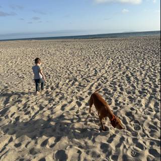 Evening Stroll on the Sands