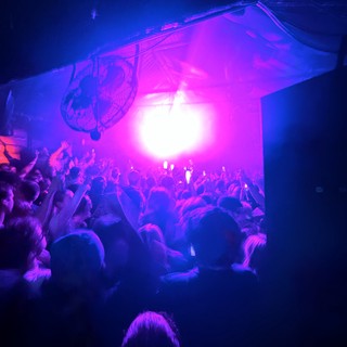 Immersive Concert Experience with Purple and Blue Stage Lighting