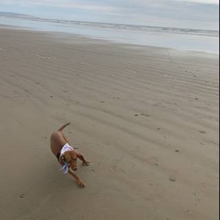Running Free on Pismo Beach