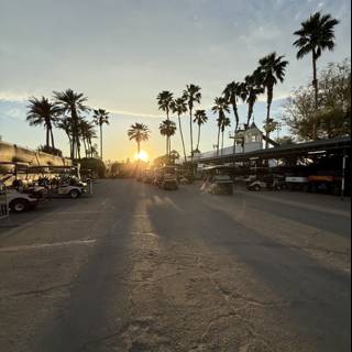 Sunset Glory at Empire Polo Club