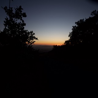 landscape-nature-silhouette