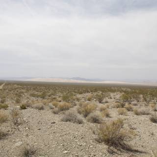 Desert Solitude