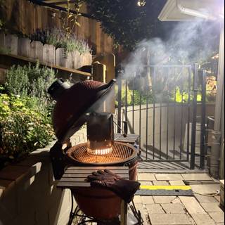 Evening Grilling Vibes
