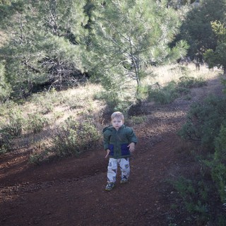 Tiny Explorer on a Mountain Trail Adventure