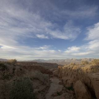 Desert Path