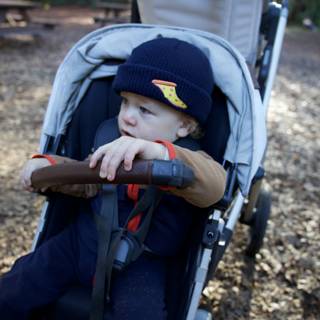 Little Adventurer in Thistlewyck