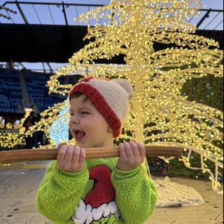 Winter Wonder at PayPal Park