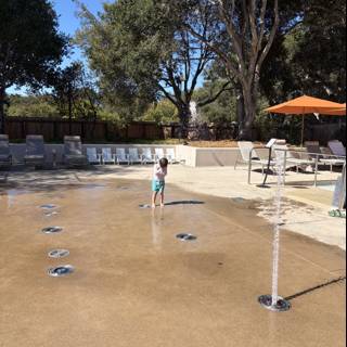 Splash of Joy in the Sun