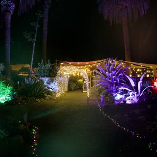 Enchanted Night at Garden of D'Lights